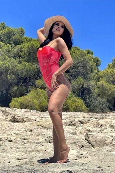 Foto 4 di Sabrina escort Milano