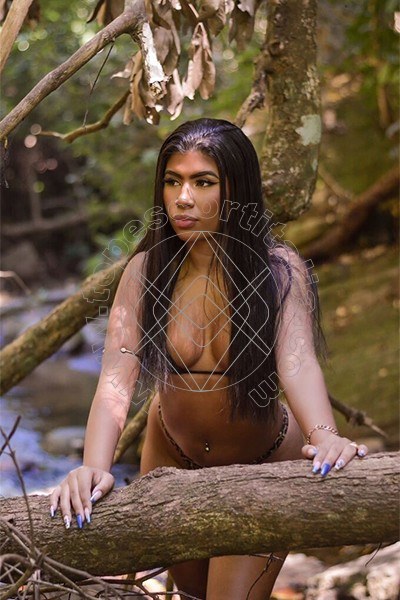 Foto 8 di Brigitta Sensuale escort Milano