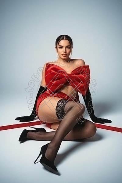 Foto 6 di Carlotta hot escort Galliate