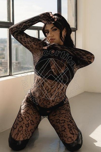 Loren Brasil PISA 3933237965