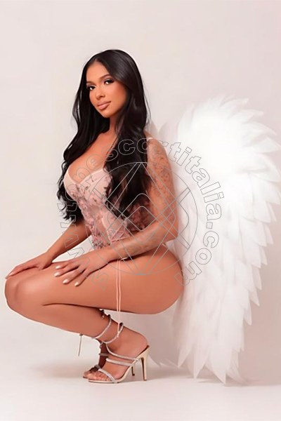 Foto 4 di Sheyla Latina escort Avellino